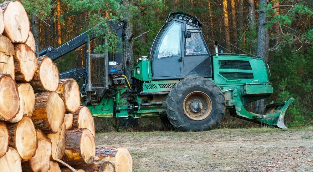 principes de l’exploitation forestière